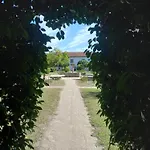 Casa Dos Pinheiros - Pinheiros Fafe