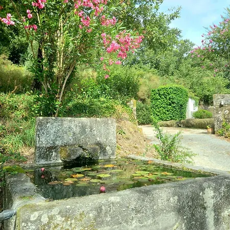 Casa Dos Pinheiros - Pinheiros Vakantiehuis