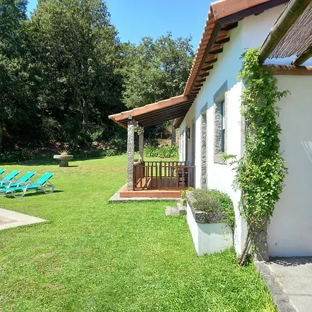 Casa Dos Pinheiros - Pinheiros