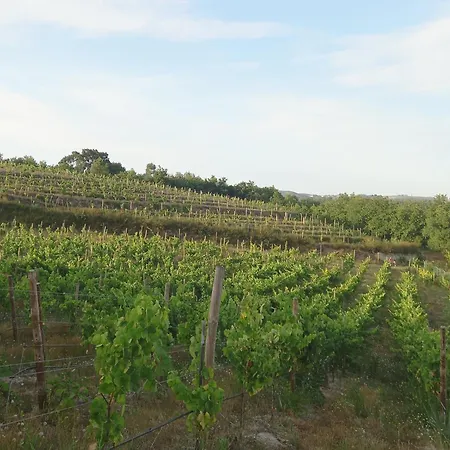 Coutada Dos Pinheiros - Pinheiros Holiday home Fafe