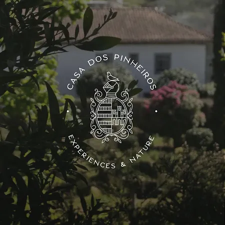 Casa Dos Pinheiros - Pinheiros * פאפה