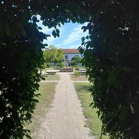 Casa Dos Pinheiros - Pinheiros פאפה