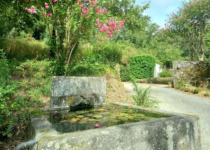 Casa Dos Pinheiros - Pinheiros Feriehus