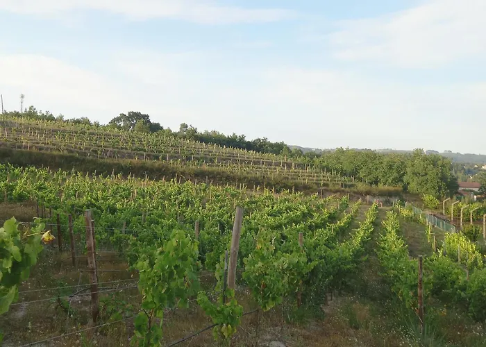 Casa Dos Pinheiros - Pinheiros Prázdninový dům Fafe