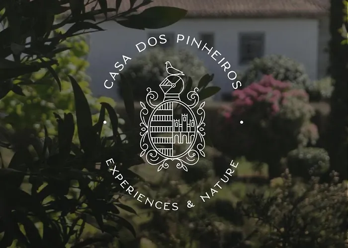 Casa Dos Pinheiros - Pinheiros * Fafe