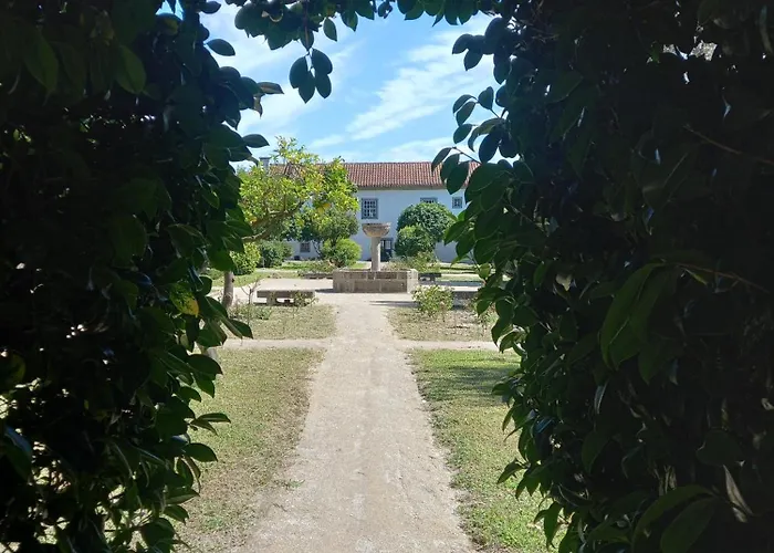 Casa Dos Pinheiros - Pinheiros Fafe